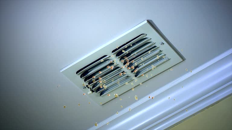 Best HVAC Duct Inspection Services  in Sells, AZ