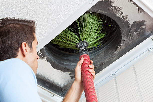 Best Professional Duct Cleaning Services  in Sells, AZ